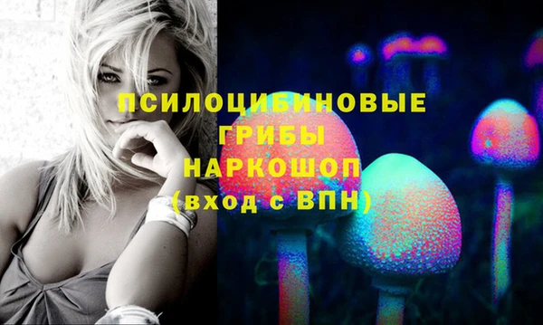 ECSTASY Дмитровск