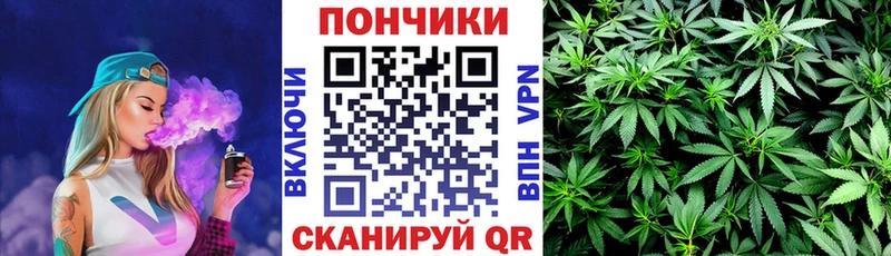 наркотики  Каменногорск  KRAKEN сайт  Бошки Шишки планчик 
